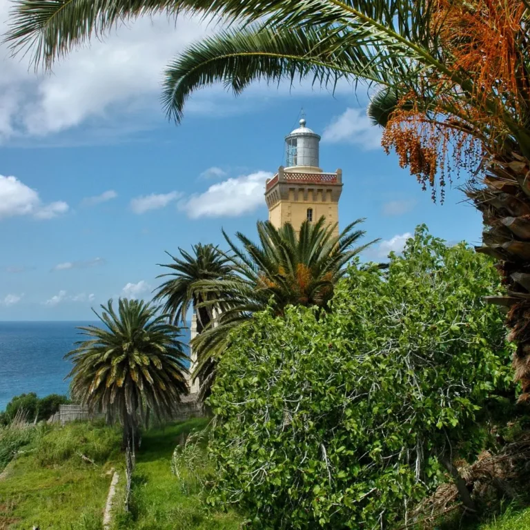 Dormir au cœur d’un domaine naturel de 21 hectares : l’expérience Riad Elaissi